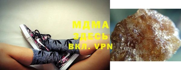 прущие грибы Кукмор